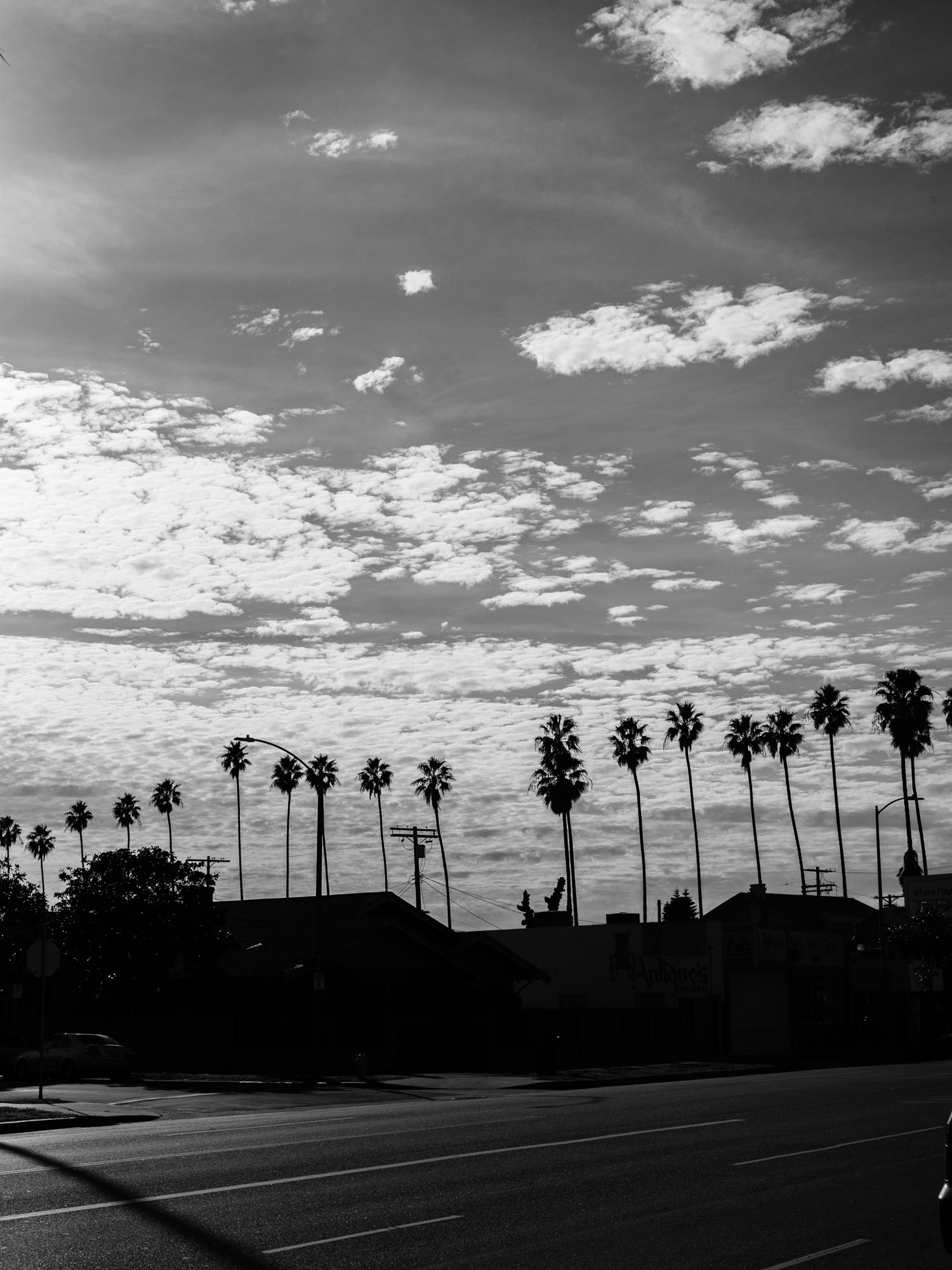Los Angeles photographed by Harrison Boyce