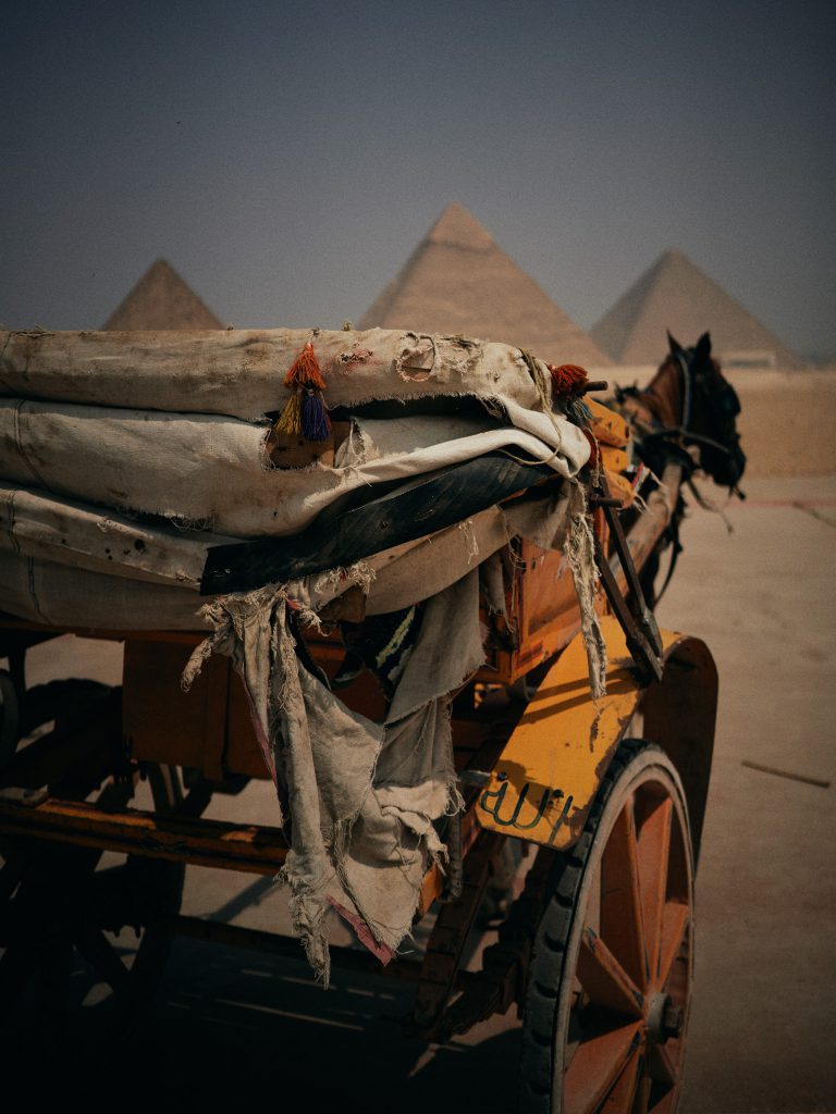 Harrison Boyce Egypt travel photo