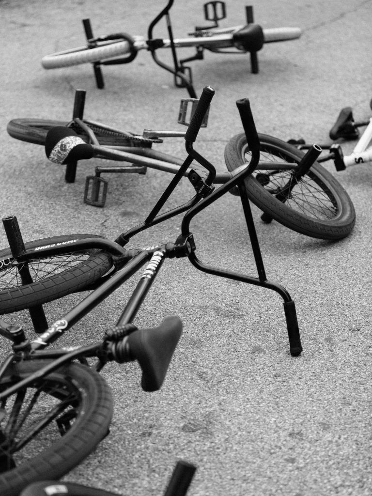 harrison boyce animal bikes 09